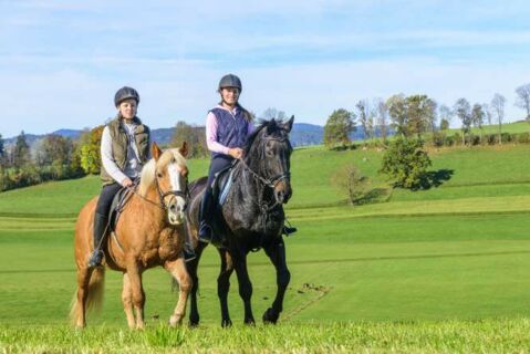 Mit dem eigenen Pferd innerhalb der EU einfach mal ins Nachbarland reiten oder auf einem Turnier starten? Das ist leider gar nicht so einfach. In diesem Blogbeitrag erfahren Sie warum.
