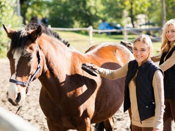 Reiten Ausbildung am DeLSt
