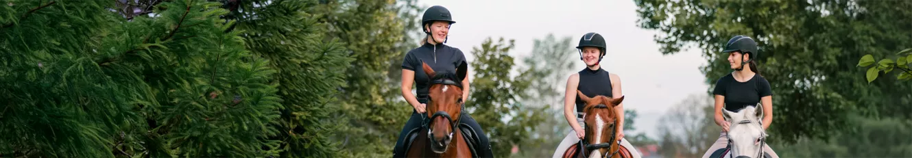 Reitsport