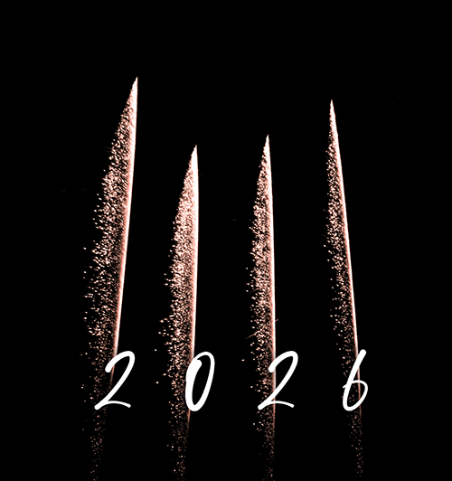 Der DeLSt NewYearsBooster - Jetzt eintragen. Sofort profitieren. Dauerhaft schlauer.