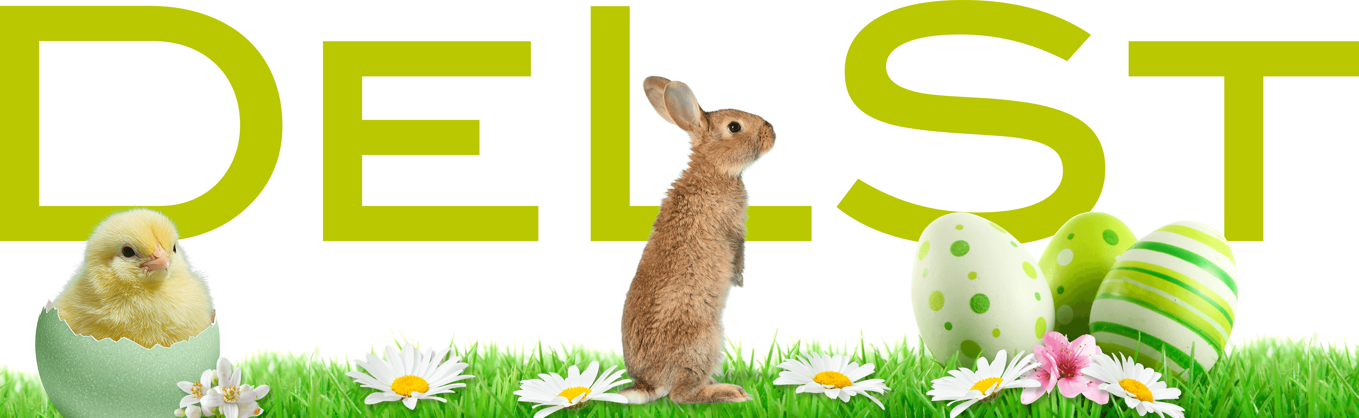 DeLSt - Fernstudiengänge 