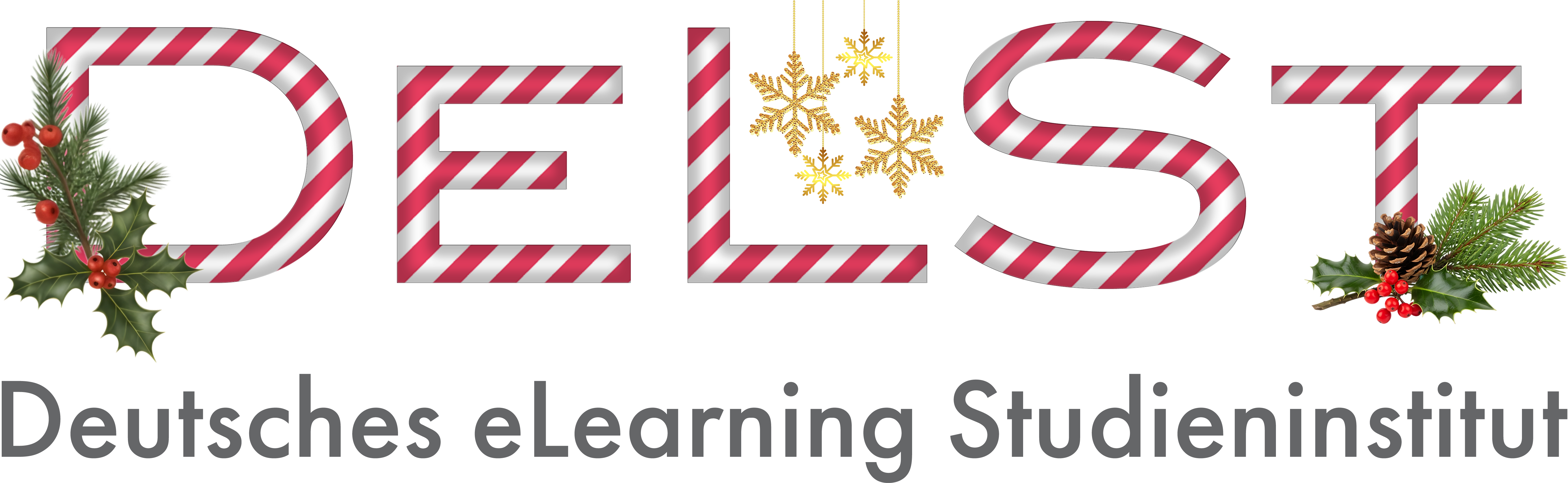 DeLSt - Fernstudiengänge 