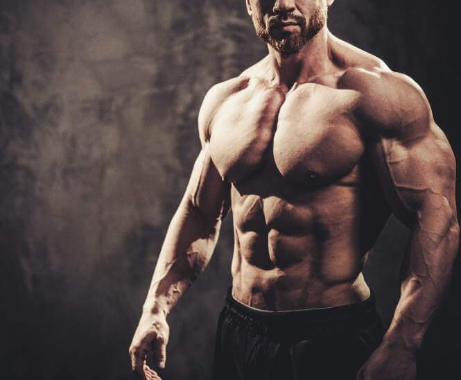 Durch die Ausbildung für Ernährung im Natural Bodybuilding können Sie Ihr Training optimal unterstützen!