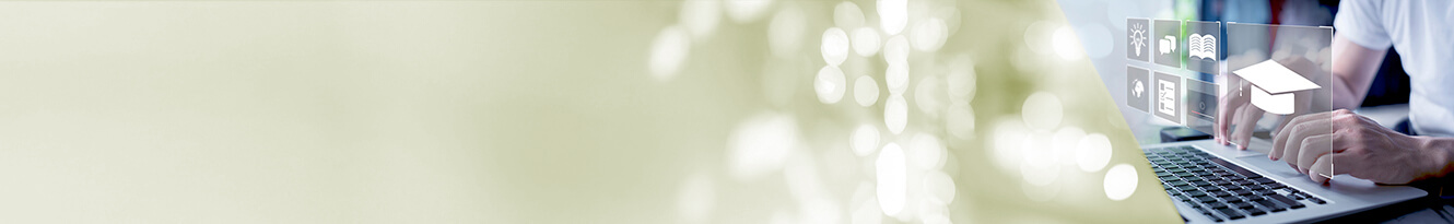 Partnerprogramm des DeLSt