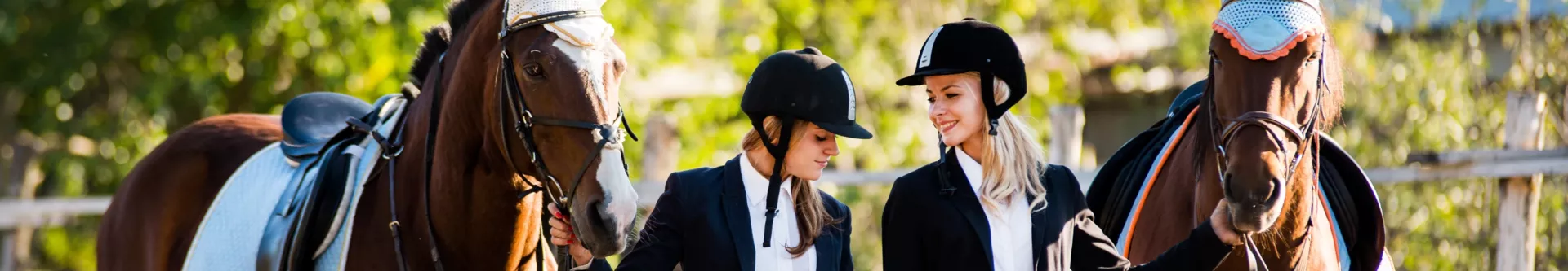 Reitsport
