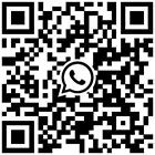 DeLSt QR Code